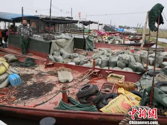 吸血鬼崛起为什么不能放城堡之心