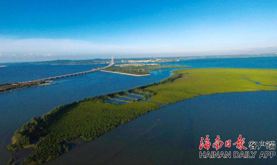 赛博朋克2077开局加点建议