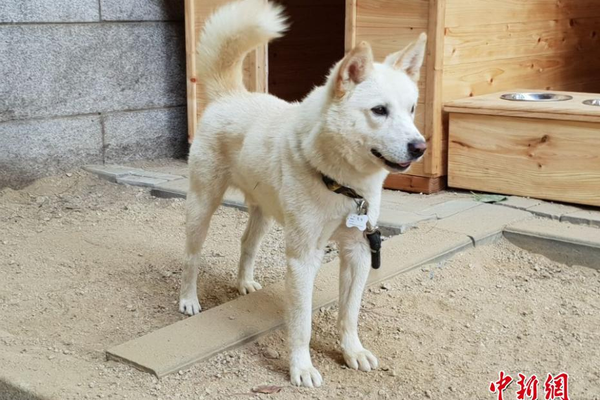 最远的边陲怎么扩大农田面积