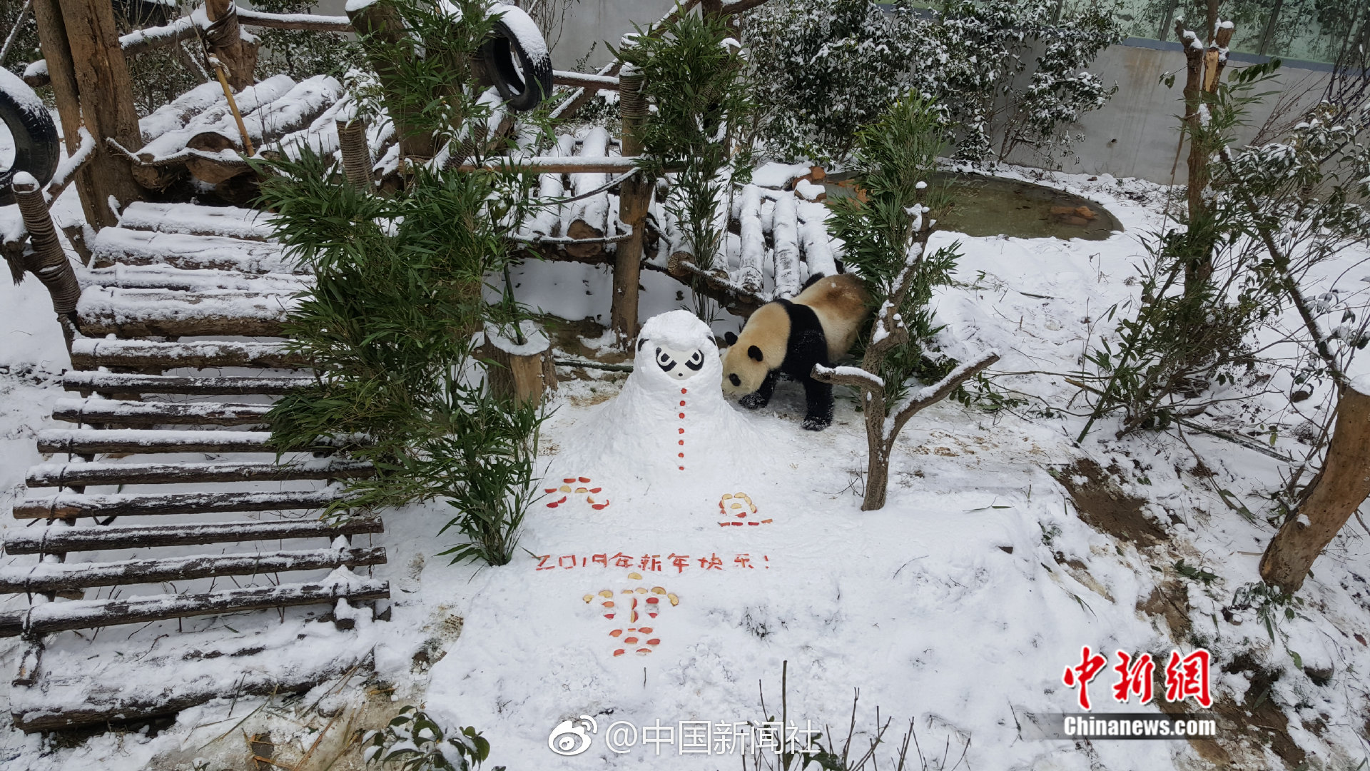鬼谷八荒门派名字对应什么属性