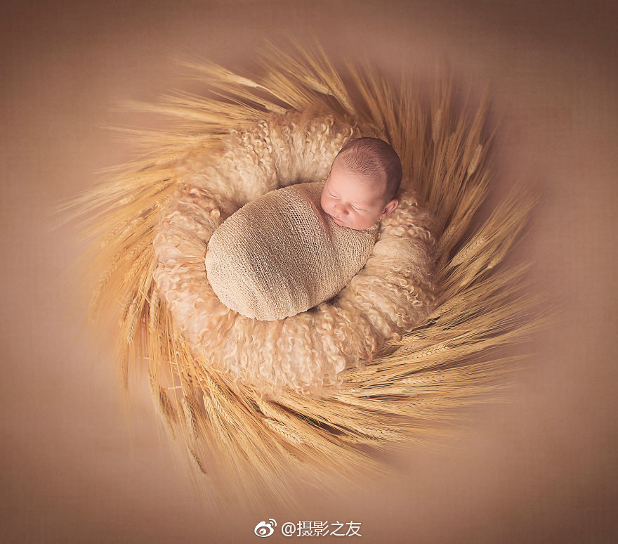 影子战术将军之刃独立DLC爱子的选择介绍分享