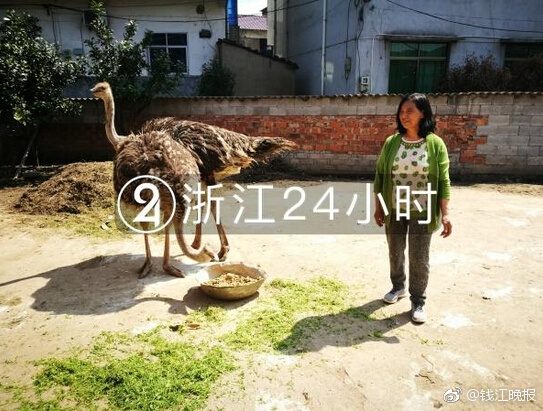 [28圈]