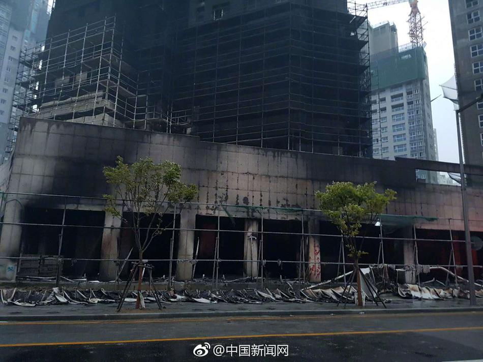全面战争战锤3妙影什么时候变龙比较好