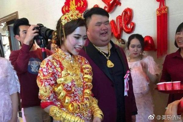 DYSMANTLE木材怎么获得