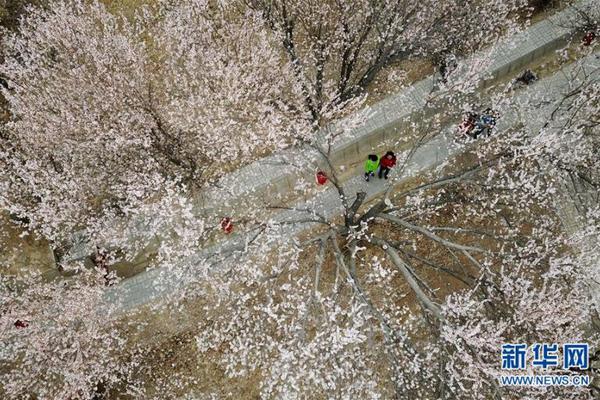 极限竞速地平线4怎么开S车
